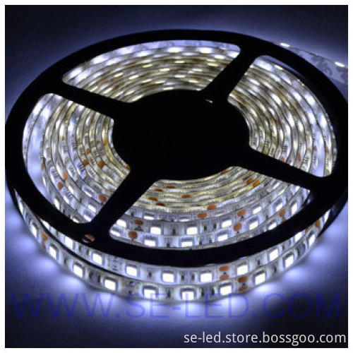 High Brightness 5050 60led Strip Led IP65